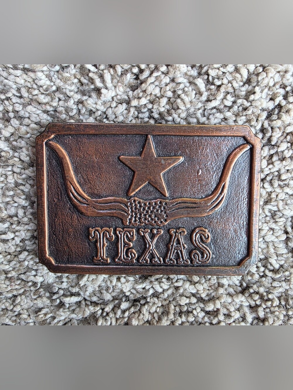 Brown Texas Embossed Metal Belt Buckle